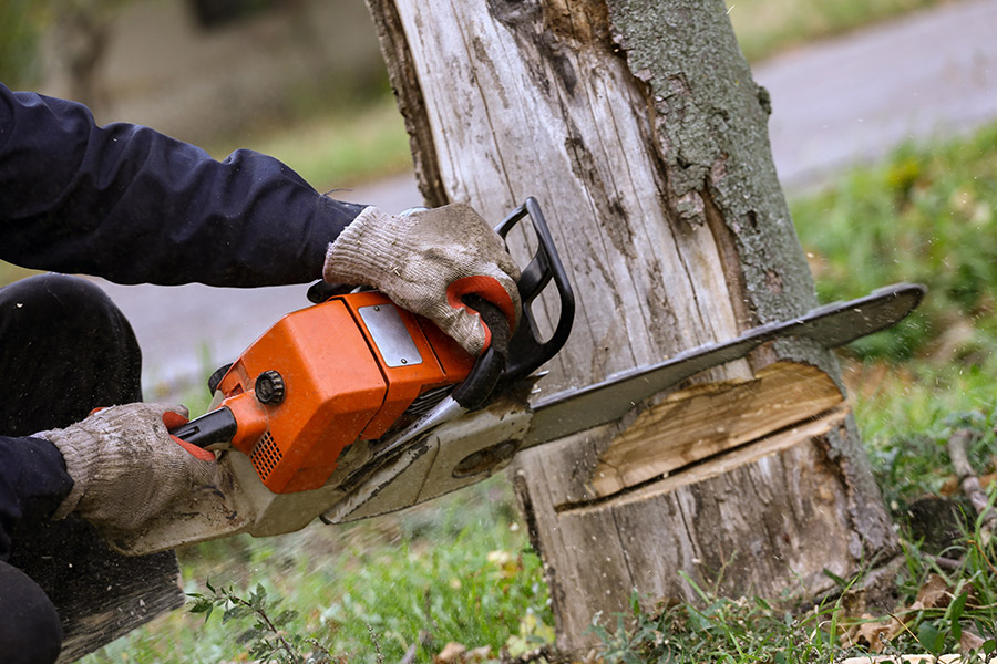 arborist-removing-tree-at-residential-property-with-chainsaw-orlando-fl