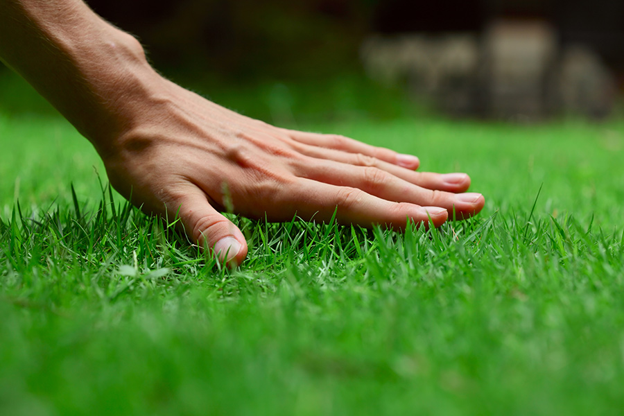 male-hand-touching-the-grass