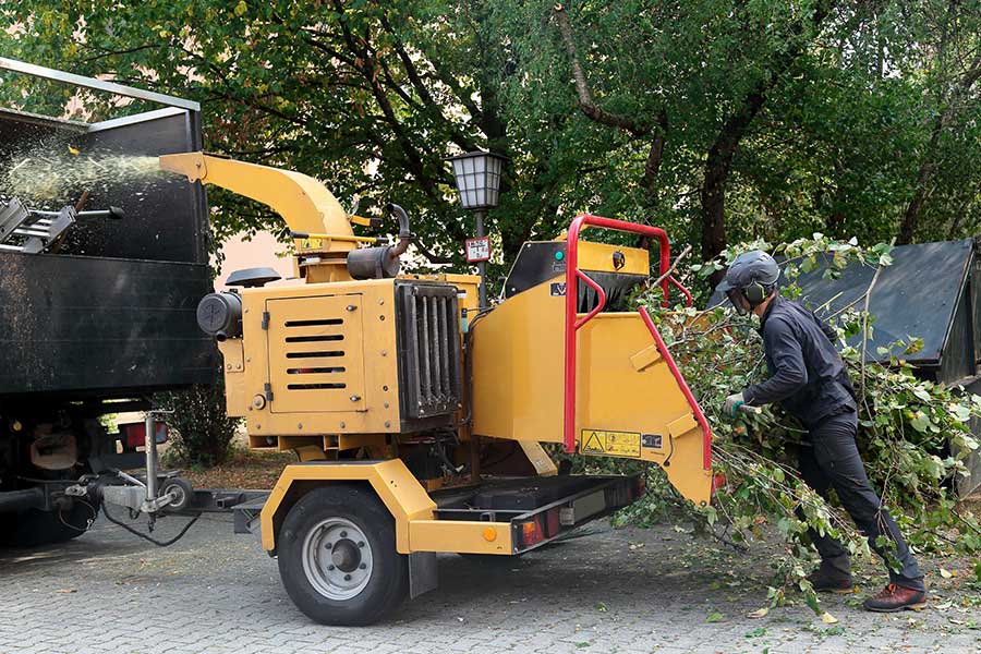 man putting branches into wood chipper bithlo fl