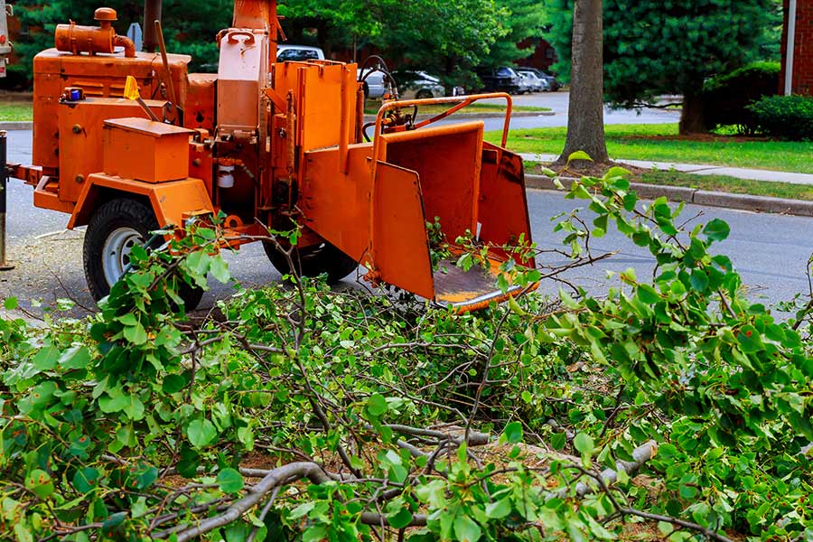 wood chipper and tree branches union park fl